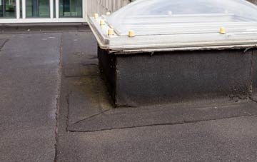 disadvantages of Wormelow Tump flat roofs