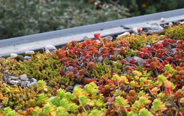 the cost of Wormelow Tump green roof installation