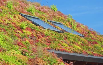 Wormelow Tump living roof systems