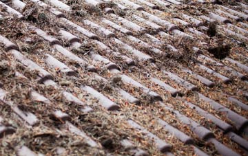 Wormelow Tump roof cleaning companies