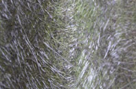 Wormelow Tump fibreglass roof work