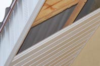 rated Wormelow Tump soffit repair companies
